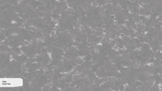 Аглокварцит 2065 ГРЕЙ НИМ (2065 ГРЕЙ НИМ) - Avant Quartz (Мраморная коллекция)