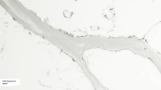 Аглокварцит 7500 КАЛАКАТТА АРРАС (7500 КАЛАКАТТА АРРАС) - Avant Quartz (Коллекция Элит)