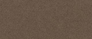 Аглокварцит 3350 WALNUT (3350 ВАЛНУТ) - Caesarstone (CLASSICO)