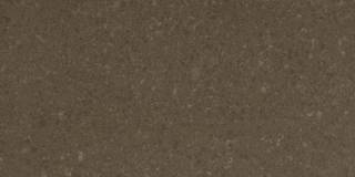 Аглокварцит 4360 WILD RICE (4360 ВАЙЛД РАЙС (Дикий рис)) - Caesarstone (CLASSICO)