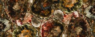 Аглокварцит 8330 PETRIFIED WOOD (8330 ПЕТРАЙФЕД ВУД) - Caesarstone (CONCETTO)