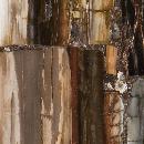 8330 PETRIFIED WOOD RETRO