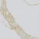 Кварцит 3213 CALACATTA GOLD