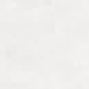 Гранит BETON WHITE Q811