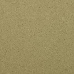 Аглокварцит TS495 TOLUCA SAND (TS495 ТОЛУКА СЕНД) - Samsung (Radianz Colors)