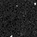 Аглокварцит T603 NERO STARDUST