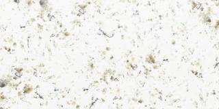 Аглокварцит BQ 9418 SERRA (BQ 9418 СЕРРА) - Vicostone (NATURAL)