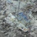 Гранит LABRADORITE BIG FLOWERS