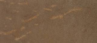 Гранит SPARKLE BROWN (СПАРКЛ БРАУН)