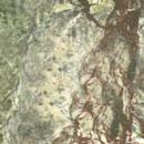 Гранит BIDASAR GREEN