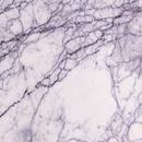 Мрамор LILAC LAVENDER
