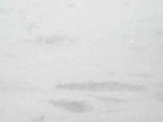 Мрамор PRINOS WHITE (ПРИНОС ВАЙТ)